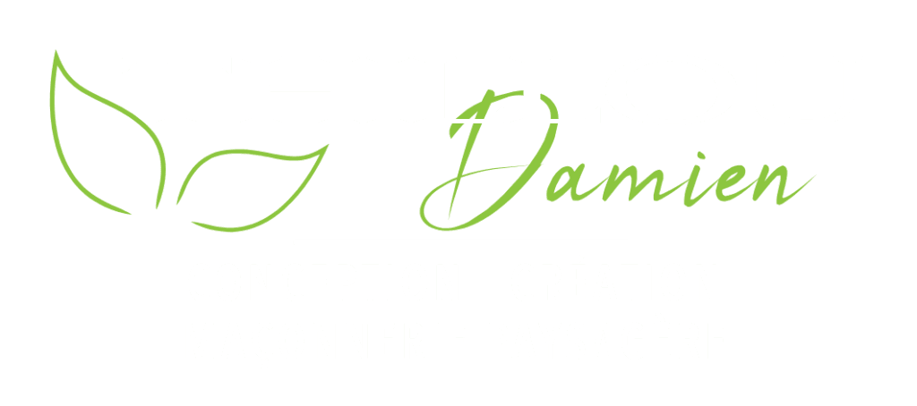 Logo png damien thillou1