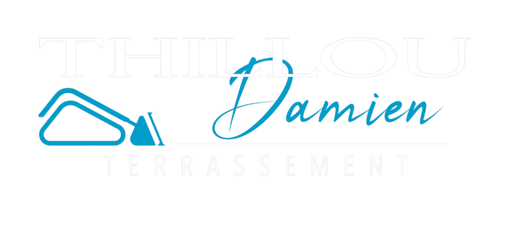 Logo png damien thillou2