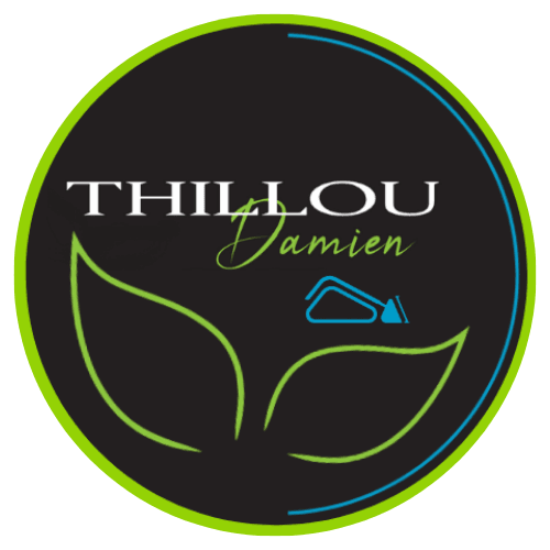 logo site Thillou Damien Montargis
